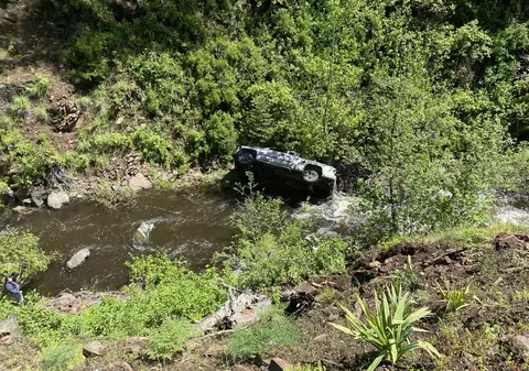 Cum și-a salvat un câine stăpânul, după ce bărbatul a căzut cu mașina într-o râpă, în SUA