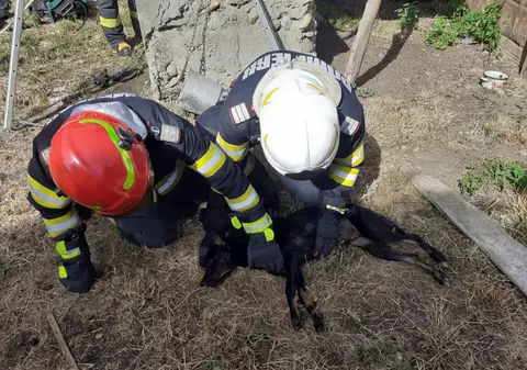 Un câine a fost salvat dintr-o fântână adâncă de 12 metri, în Argeș. A fost scos aproape mort