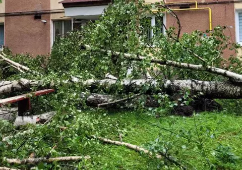 Bilanţul furtunii din Harghita: mii de oameni din zeci de localități, fără curent electric, un panou publicitar a căzut peste un bărbat