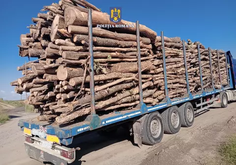 Dosar uriaș de corupție la IPJ Alba, instrumentat de DNA. Polițistul care deranja „mafia lemnului”, cercetat disciplinar ilegal, intimidat de șefi și transferat „în interes de serviciu”