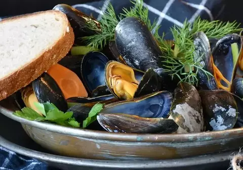 Culesul de scoici și rapane din Marea Neagră a fost suspendat. Alge potențial toxice găsite în apa mării | VIDEO