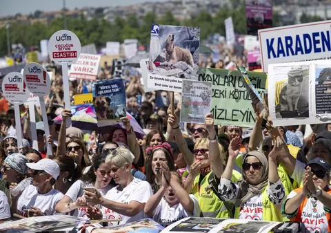Mii de oameni au protestat la Istanbul faţă de un proiect de eutanasiere a câinilor vagabonzi