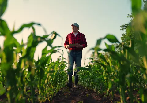 O nouă mână de ajutor de la PSD pentru agricultori: „Creditul Fermierului” ajunge la 1,4 miliarde lei plus bani europeni pentru cumpărarea de combine și tractoare