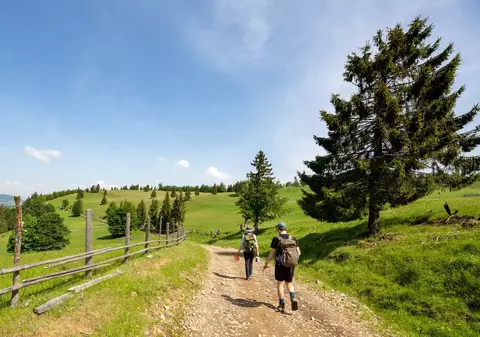 Via Transilvanica, inclusă de revista Time în top 100 locuri de vizitat în 2024. „Un farmec sălbatic transilvănean”
