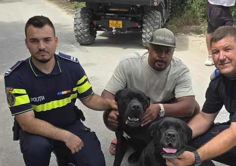 Mesajul lui Cabral după ce câinii lui au dispărut. „Suntem efectiv șocați. I-am adus acasă pe tembeli”