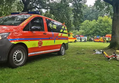 Opt membri ai aceleiași familii, loviți de fulger, în Germania. Se adăposteau de furtună sub un copac. Doi copii au fost resuscitați