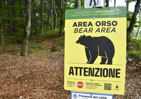 O ursoaică „periculoasă” a fost ucisă în nordul Italiei, stârnind furia ecologiștilor și nemulțumirea ministrului mediului