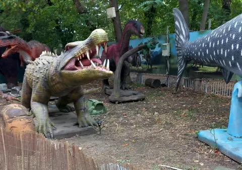 Parcul tematic din curtea Muzeului Geologic Național din București, închis de ANPC. Ce nereguli au fost descoperite