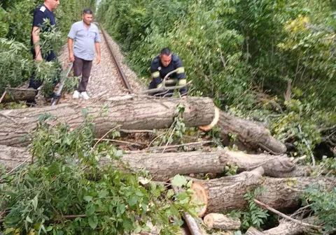 Copaci și stâlpi puși la pământ de vijelie, în Prahova. Lângă Ploiești, un arbore a blocat traficul feroviar