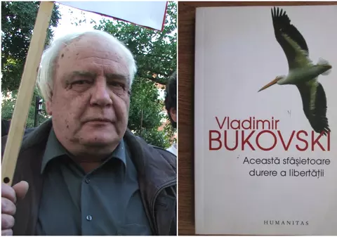 O carte care mă încurajează să-mi caut libertatea, oricât de sfâșietoare ar fi durerea acestei căutări