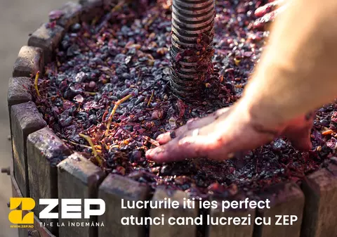 Cum să îngrijești vița de vie în sezonul de toamnă