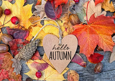 Echinocţiul de toamnă în 2024 - Tradiţii şi superstiții