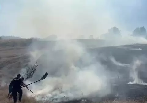 Intervenţie dificilă pentru stingerea unor incendii de vegetație care s-au extins pe 50 de hectare, în Vaslui