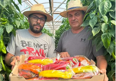 Povești cu Gusturi românești: Ferma din Fierbinți, Ialomița, care va pune pe mesele românilor ardeiul în trei culori