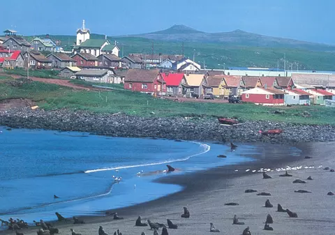 Un șobolan care s-ar putea să nici nu existe e căutat cu lumini negre și unt de arahide de locuitorii unei insule din Alaska