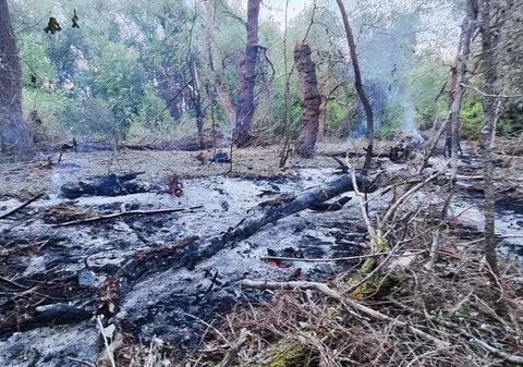 Pătrunderea dronelor rusești în România nu a surprins Casa Albă, dar „există pericolul războiului lui Putin”