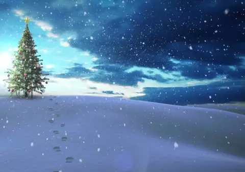 Ce înseamnă când visezi un brad