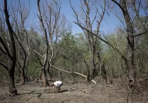 Drone rusești aproape de România: mesaj RO-Alert în Tulcea, după ce o țintă a intrat în spațiul aerian