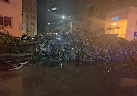 Copaci doborâţi de rafalele de vânt, şi inundaţii, în mai multe localităţi din Argeş