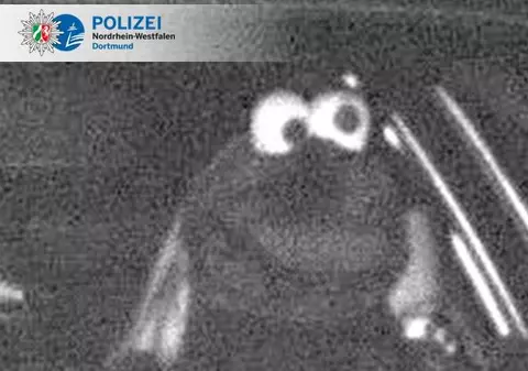 Un șofer care a depășit viteza legală, deghizat într-un personaj din Muppets, în Germania: „Cookie Monster, nu scapi de amendă!”
