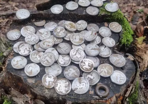 Comori antice din Macedonia găsite în Moldova. Doi botoșăneni au descoperit zeci de monede de argint, vechi de 2.300 de ani 