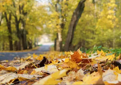 Prognoza meteo pentru următoarele patru săptămâni. Cum va fi vremea în octombrie