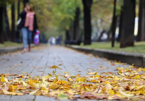Prognoza meteo pe patru săptămâni. Cum va fi vremea până la jumătatea lunii noiembrie