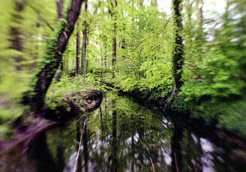 Obiect vechi de 3000 de ani găsit într-o pădure din județul Mureș. „Spada a fost făcută la comandă”