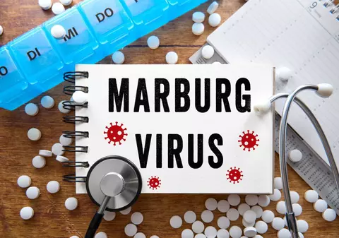 Cât de periculos e pentru alte continente focarul de infecție mortală cauzată de virusul Marburg, o rudă apropiată a Ebola, din Africa