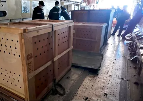 Vladimir Putin face cadou peste 70 de animale Grădinii Zoologice din Phenian, ca să-i mulțumească lui Kim pentru soldații nord-coreeni | Video