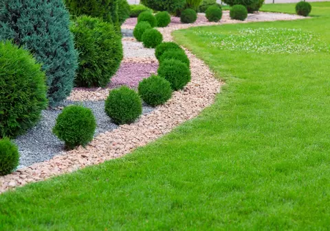Beneficiile arborilor ornamentali pentru amenajarea spațiilor verzi