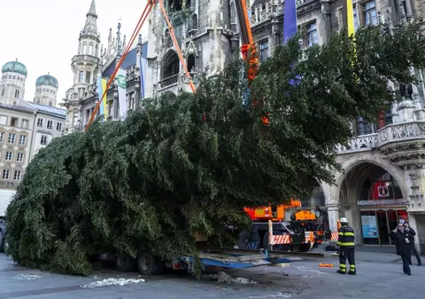 Municipiul Brașov intră în febra Crăciunului. Când ajunge bradul în Piața Sfatului