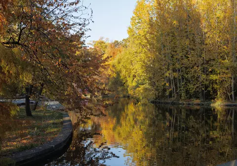 Grădina Botanică, locul perfect pentru cele mai bune poze pentru rețelele de socializare