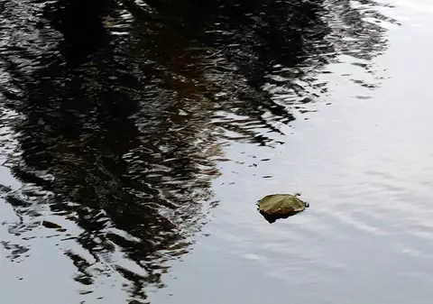 Prognoza meteo pentru următoarele patru săptămâni. Vremea se răcește brusc