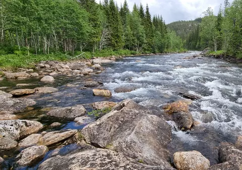 Ce înseamnă expresia „a se duce pe apa sâmbetei” – sens și origine