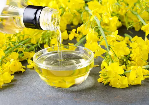 Cât de sănătos este uleiul de rapiţă pentru consum