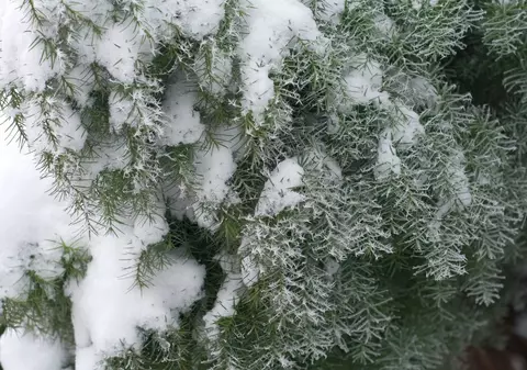 Cum va fi vremea mâine. Prognoza meteo pentru duminică, 15 decembrie