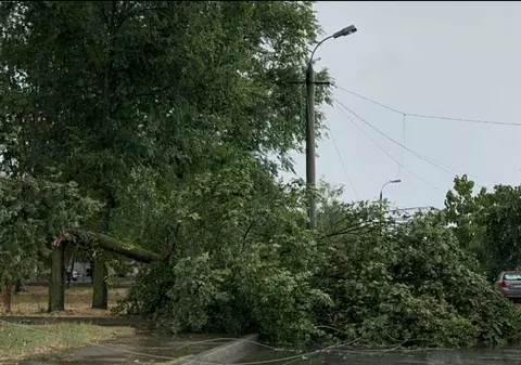 Vijelie puternică la Constanța. Pompierii au intervenit pentru copaci doborâți, acoperișuri smulse și un stâlp de electricitate căzut
