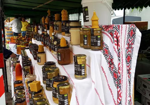 Clubul român de studiu al mierii de albine: „E de preferat să evităm borcanele din supermarketuri etichetate ambiguu” | Interviu  