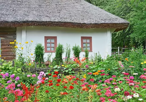 Secretele succesului în cultivarea florilor din semințe