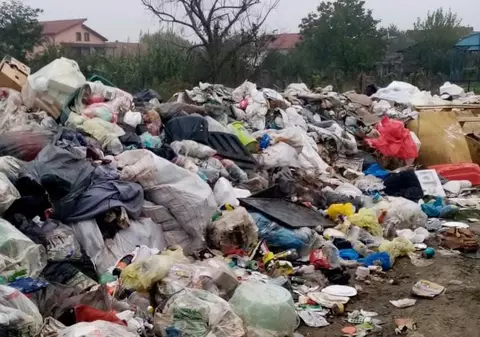 Garda de Mediu din Timișoara a dat amenzi de sute de mii de lei în noiembrie