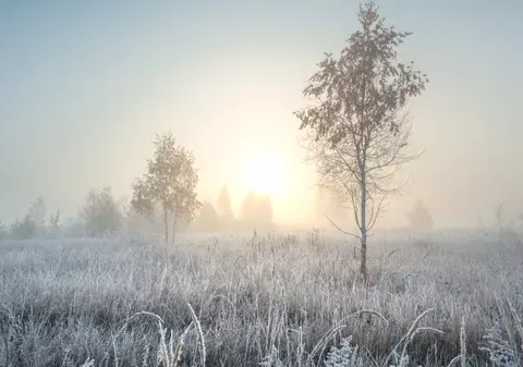 Cum va fi vremea în ultima zi a anului. Prognoza meteo marți, 31 decembrie 2024