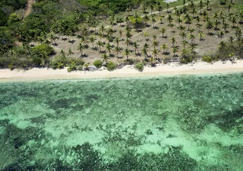 Şapte turişti străini, spitalizaţi după ce au băut cocktailuri într-o staţiune din Fiji