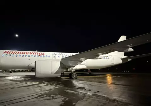 Primul zbor din 2025 pe ruta București – Cluj- Napoca, realizat de un Airbus al companiei aeriene Animawings. Ce rute vor fi disponibile anul acesta 
