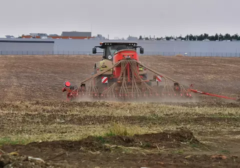 România a ajuns cel mai mare exportator de grâu din Uniunea Europeană. Experții cred că e vorba de grâu ucrainean, agricultorii acuză distrugerea zootehniei