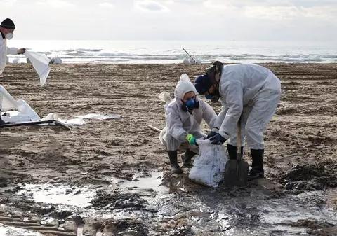 Sute de păsări și zeci de delfini morți, mulți kilometri de plajă afectați de petele de petrol din Marea Neagră. Care este riscul pentru România