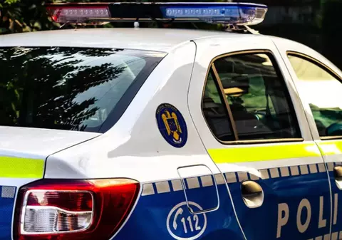 Doi câini de rasă, salvați dintr-un târg de antichități din București. Proprietarul îi ținea în condiții improprii și nu îi vaccinase