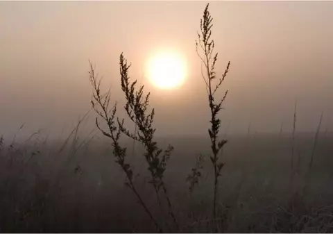 Cum va fi vremea în următoarele patru săptămâni. Meteorologii au emis prognoza meteo