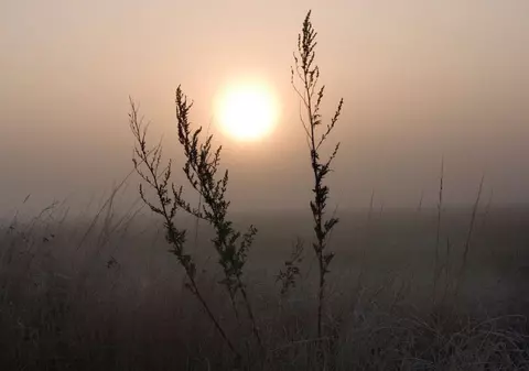 Cum va fi vremea mâine. Prognoza meteo pentru marți, 7 ianuarie 2025