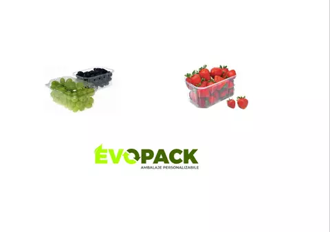 Piața mondenă: de unde cumpără fermierii și distribuitorii caserole din plastic pentru fructe